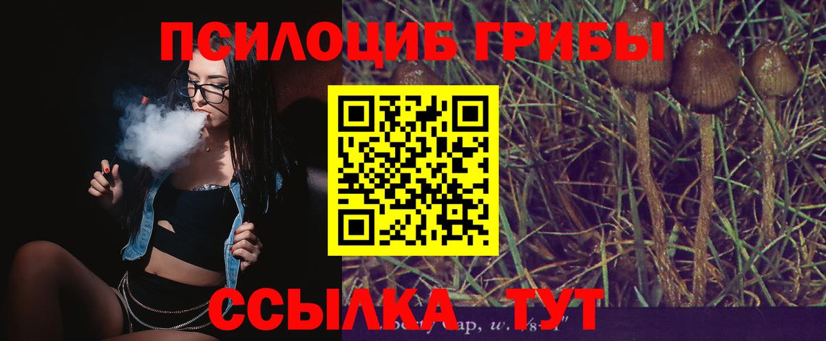 Гай  Псилоцибиновые грибы ЛСД  Вход с VPN 
